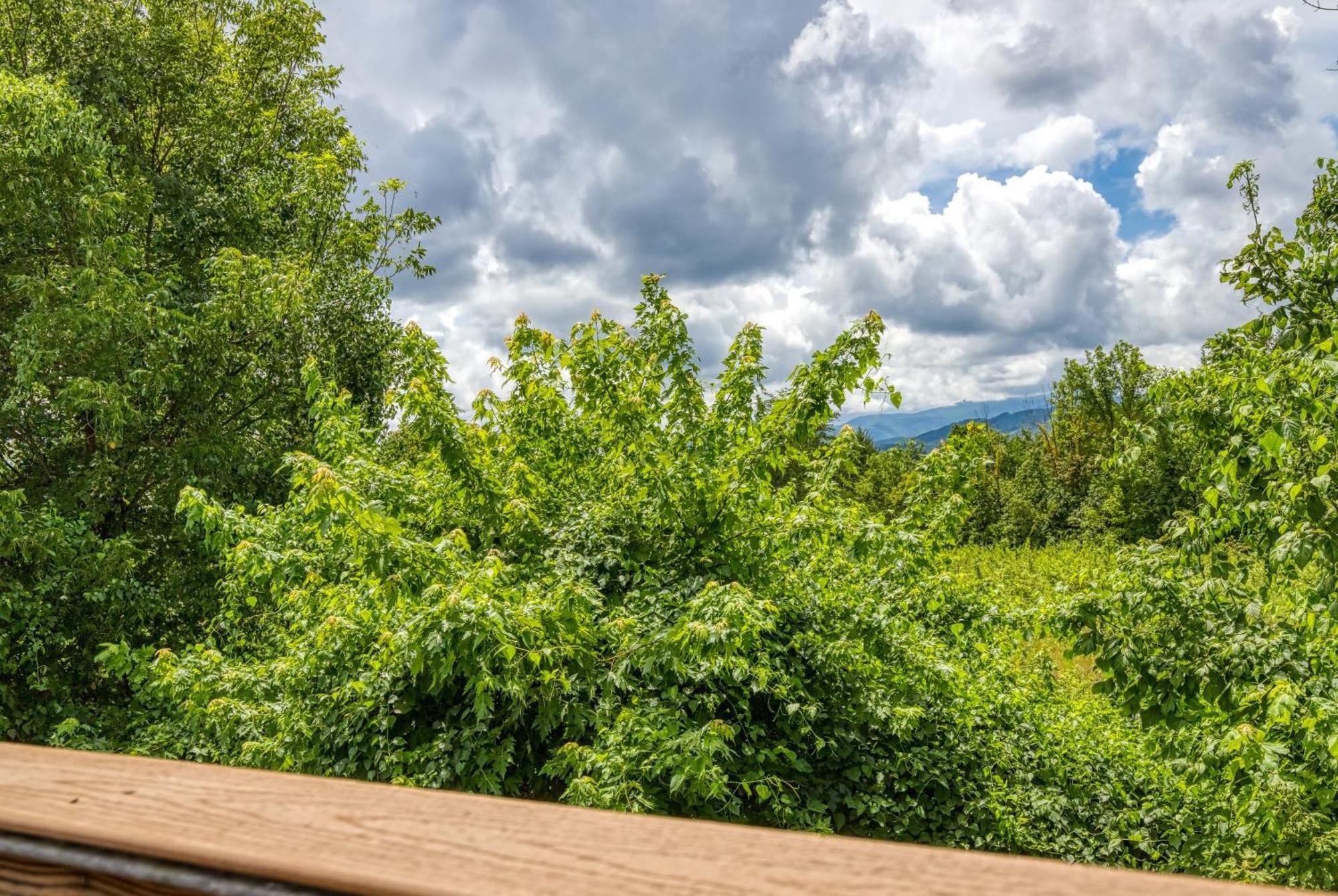 Apple Valley Hideaway, 1089 Of Free Attraction Tickets For Each Paid Day, Dollywood And More! Pigeon Forge Exterior photo