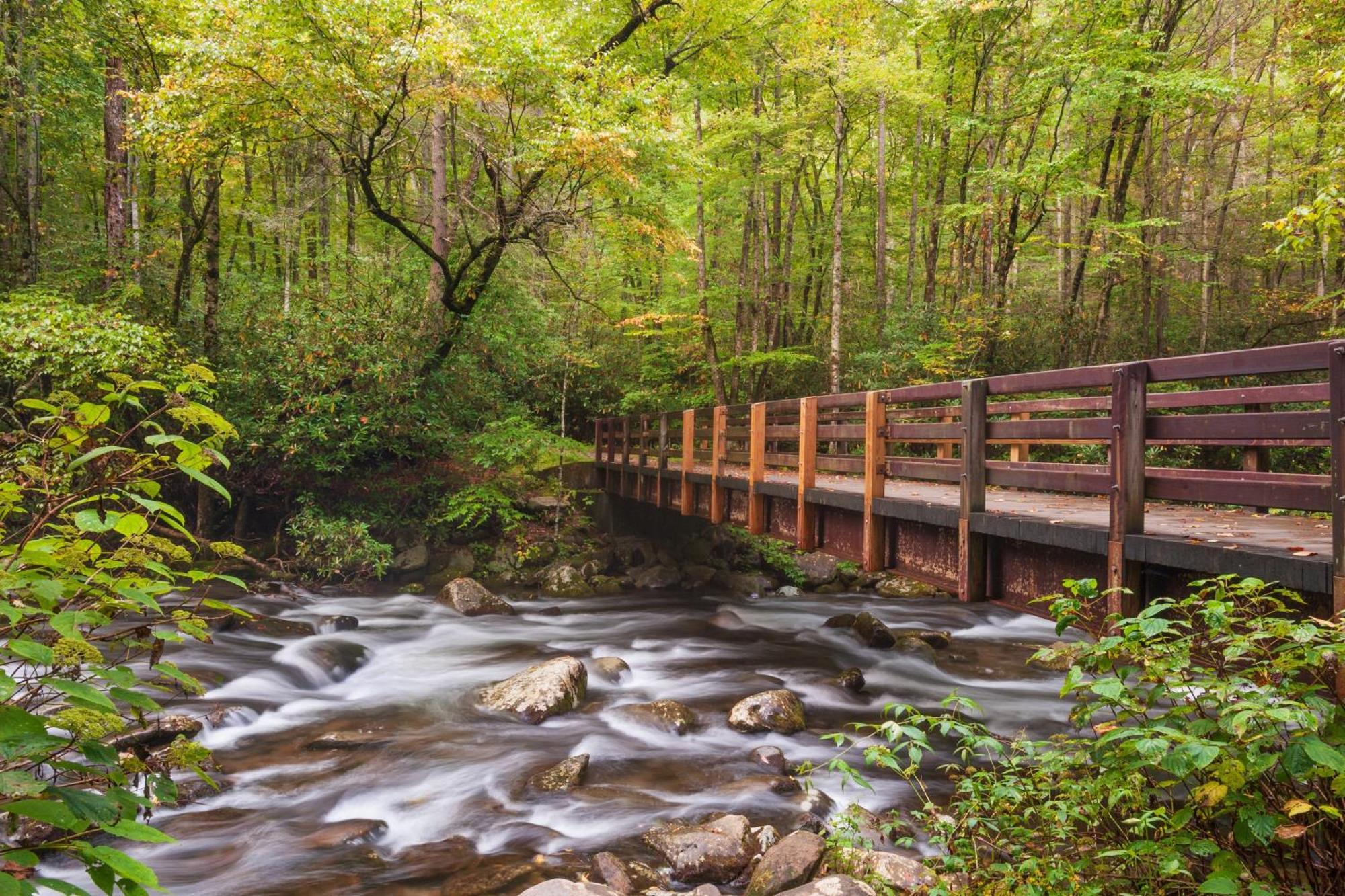 Apple Valley Hideaway, 1089 Of Free Attraction Tickets For Each Paid Day, Dollywood And More! Pigeon Forge Exterior photo